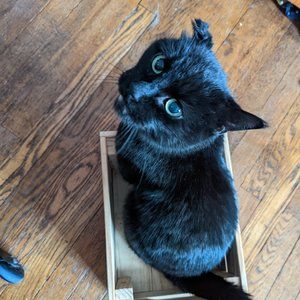 Meet your Posher, Posh